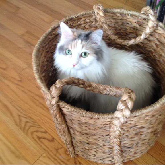 Hi, I’m Arka Deo. Thank you for stopping by. - Picture 8 of 10